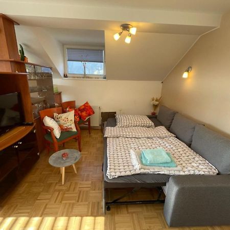 Apartment Kranj - Huge Terrace, Free P, Wi - Fi, Ac Экстерьер фото