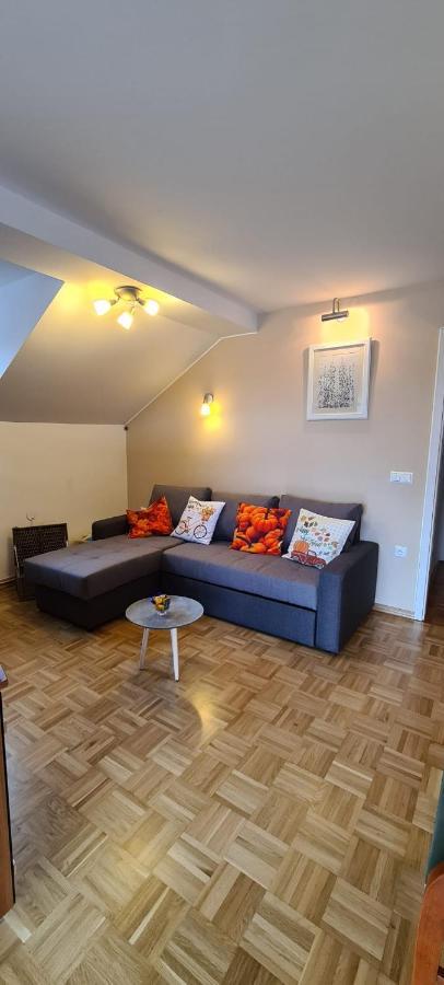 Apartment Kranj - Huge Terrace, Free P, Wi - Fi, Ac Экстерьер фото