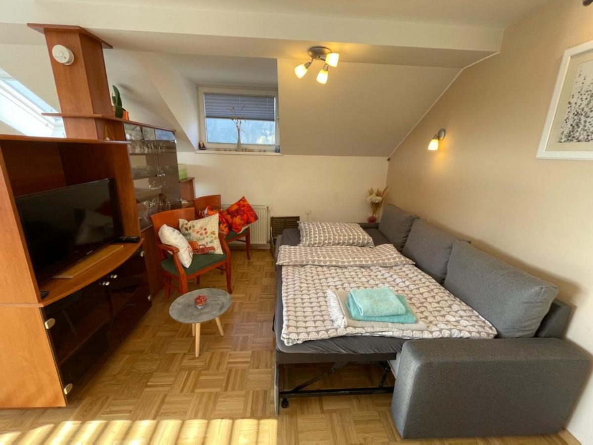 Apartment Kranj - Huge Terrace, Free P, Wi - Fi, Ac Экстерьер фото