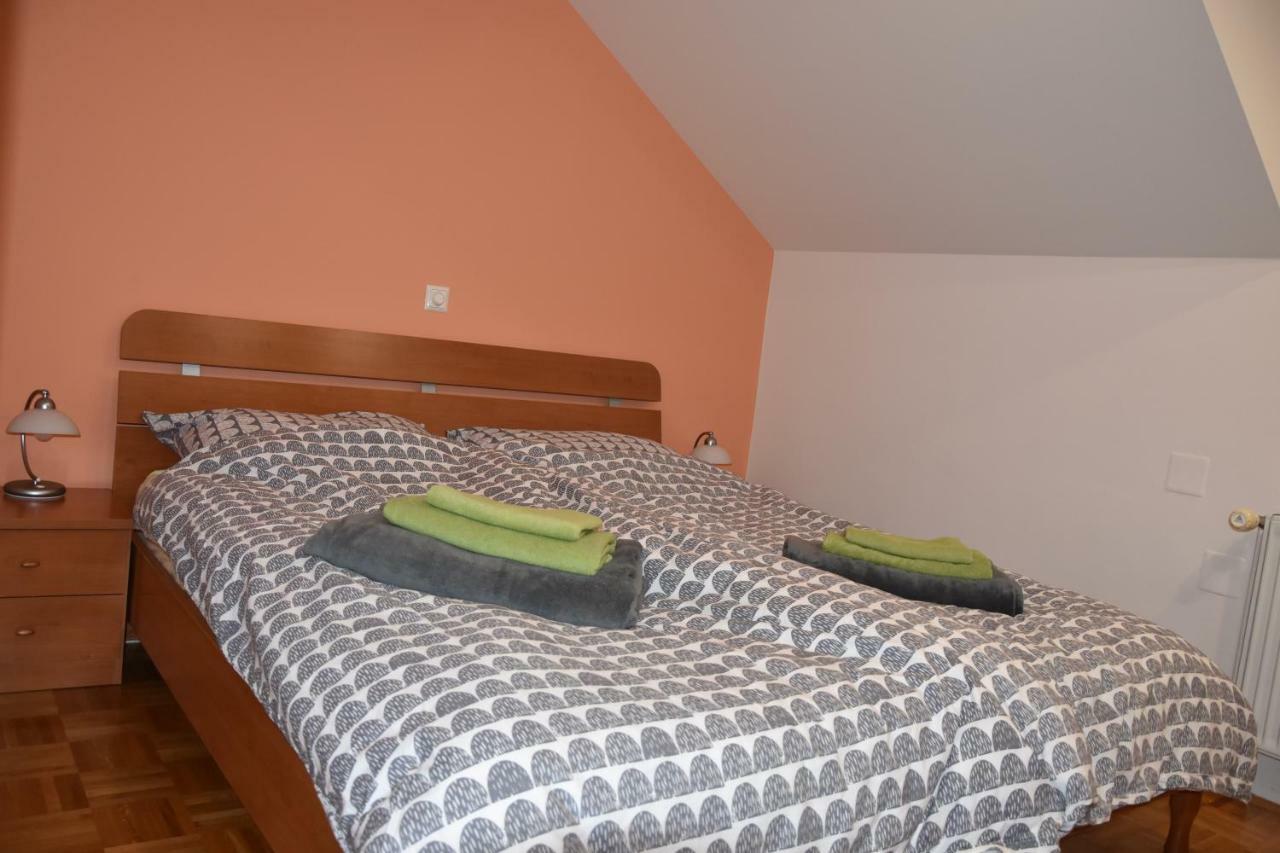 Apartment Kranj - Huge Terrace, Free P, Wi - Fi, Ac Экстерьер фото